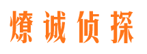 中宁市调查公司